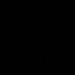 Meet your Posher, Malik